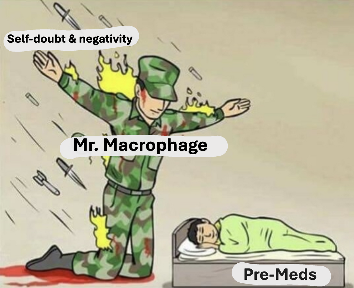 macro.png