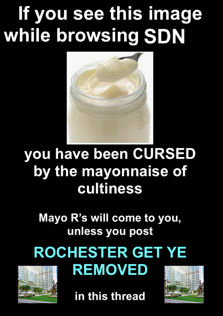 mayo copy.png