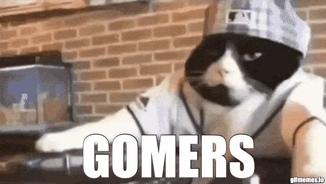 meme.gif