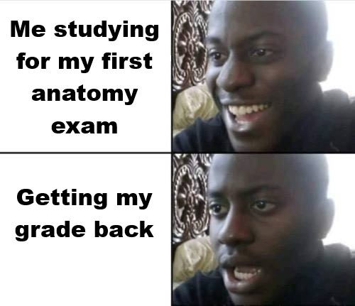 meme.jpg