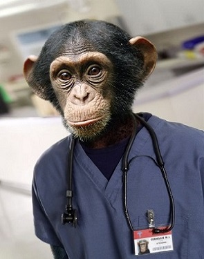 monkeydoc1.jpg