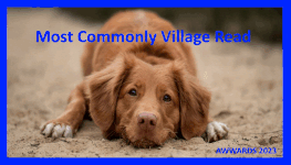 Most Commonly Village Read downsized.gif