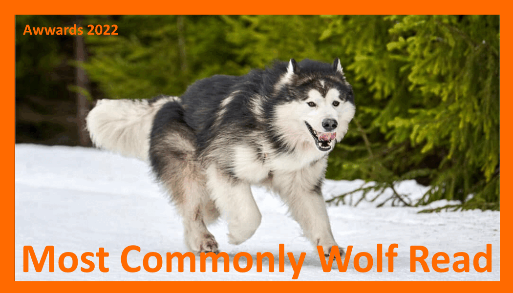 Most Commonly Wolf Read.gif