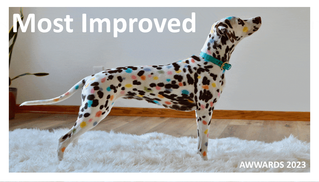 Most Improved.gif
