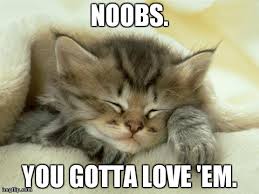 noobs.jpg
