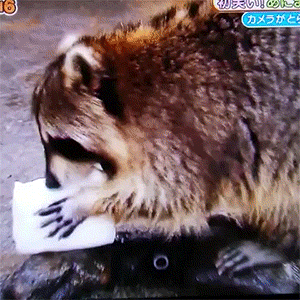 262072
