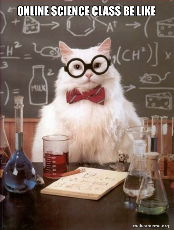 online-science-class.jpg