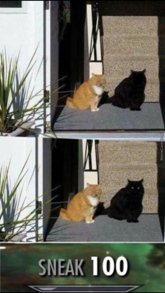 picture.jpg
