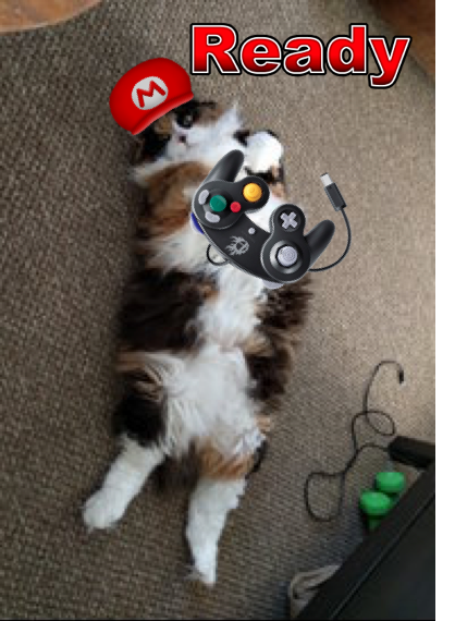 Picture1.png