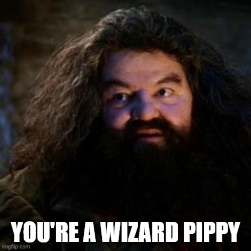 pipwiz.jpg