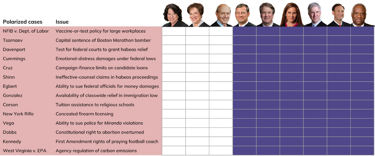 Polarized-cases.png