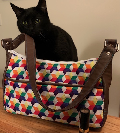 Pride purse.jpeg