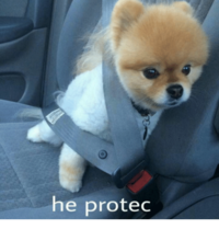 protec.png