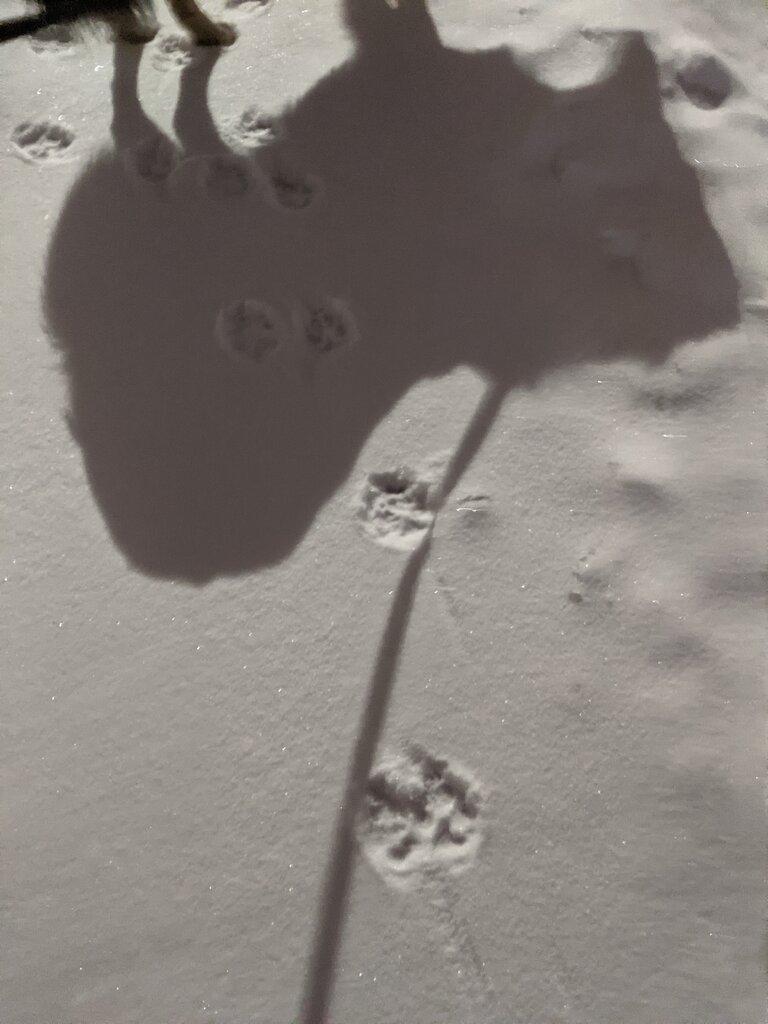 PXL_20220122_004301402.jpg