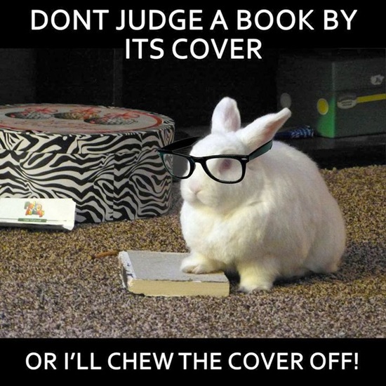 rabbit.jpg