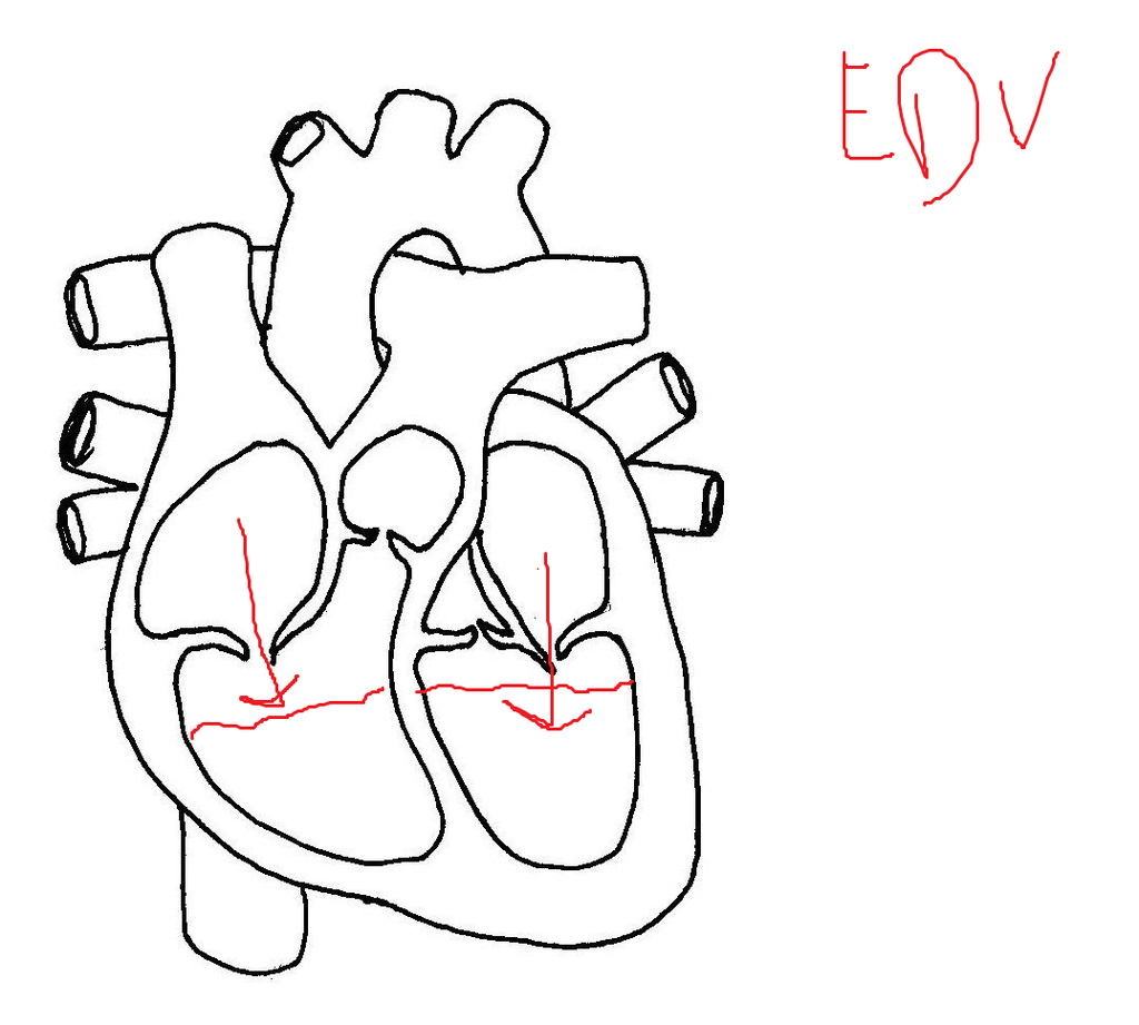 reer.png