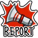 report.png