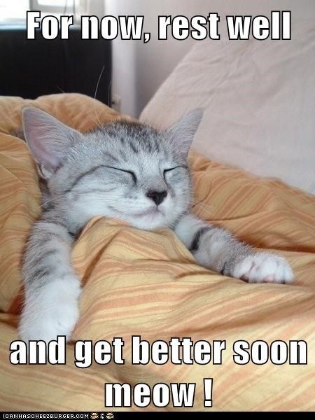 rest.jpg