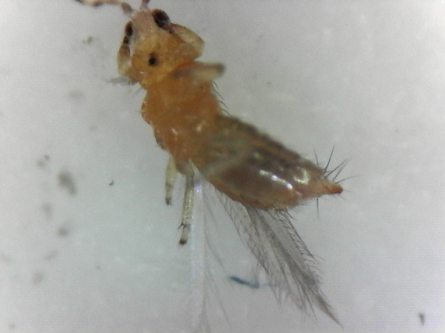 S20170501_0001.jpg