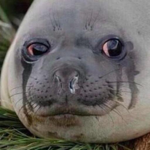 sadseal.jpg