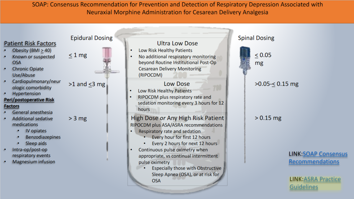 Screenshot 2021-09-01 at 09-21-29 SOAP_Infographic_Morphine_Consensus-1 pdf.png