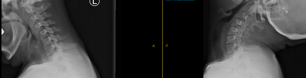 Screenshot 2026-01-08 150821.png