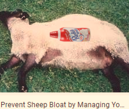 Screenshot_77.png