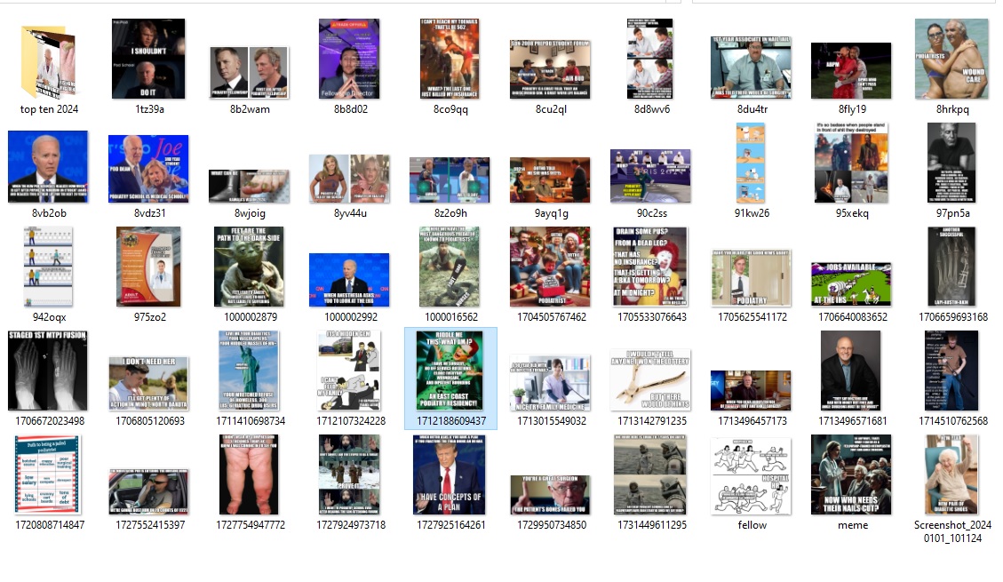 sdn honorable mention 2024 memes.jpg