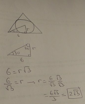 sdn.jpg