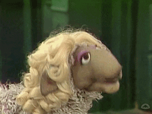 sheep.gif