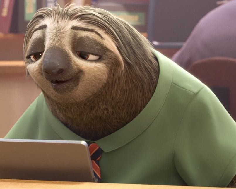 sloth.jpg