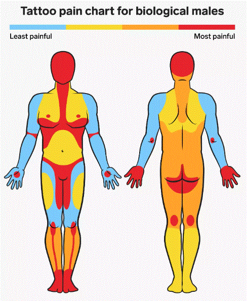 tattoo pain chart.GIF
