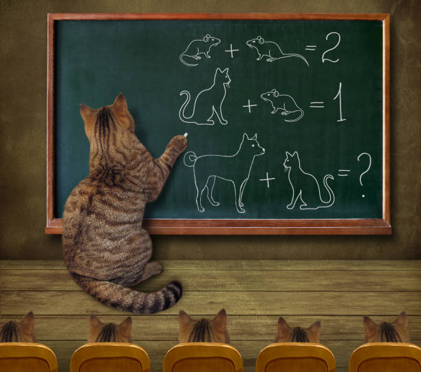 teachcat.jpg