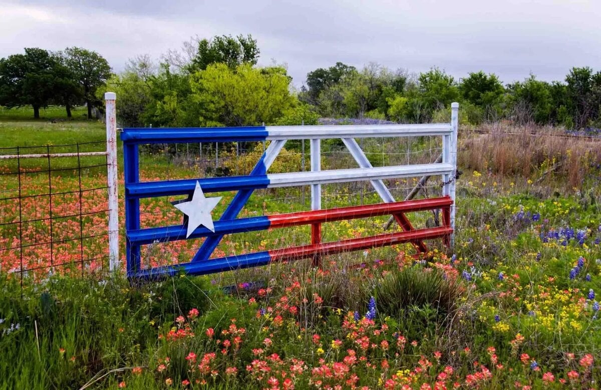 texas-flag-gate-field-wildflowers-1536x995.jpg copy.jpg