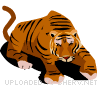 tiger.gif