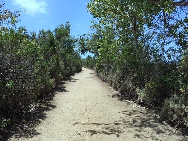 trail view.jpg