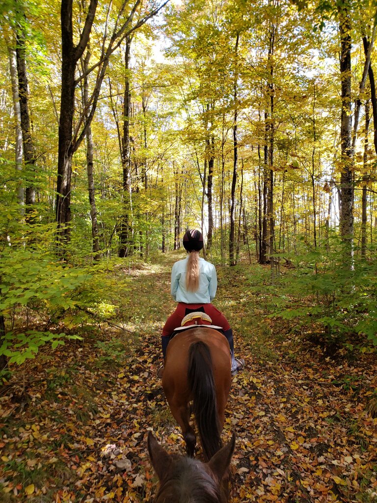 trailride1011.jpg