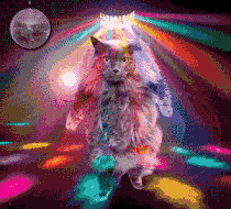 trancedancecat.gif