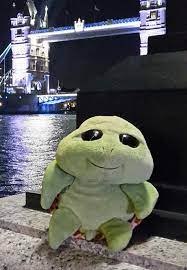 turtle power.jpeg