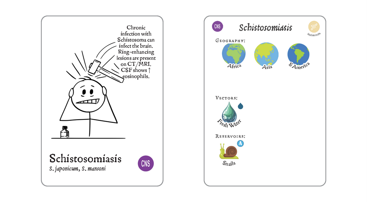 Twitter 154 - Schisto CNS.png