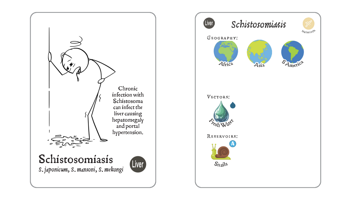 Twitter - 24 Schisto L.png