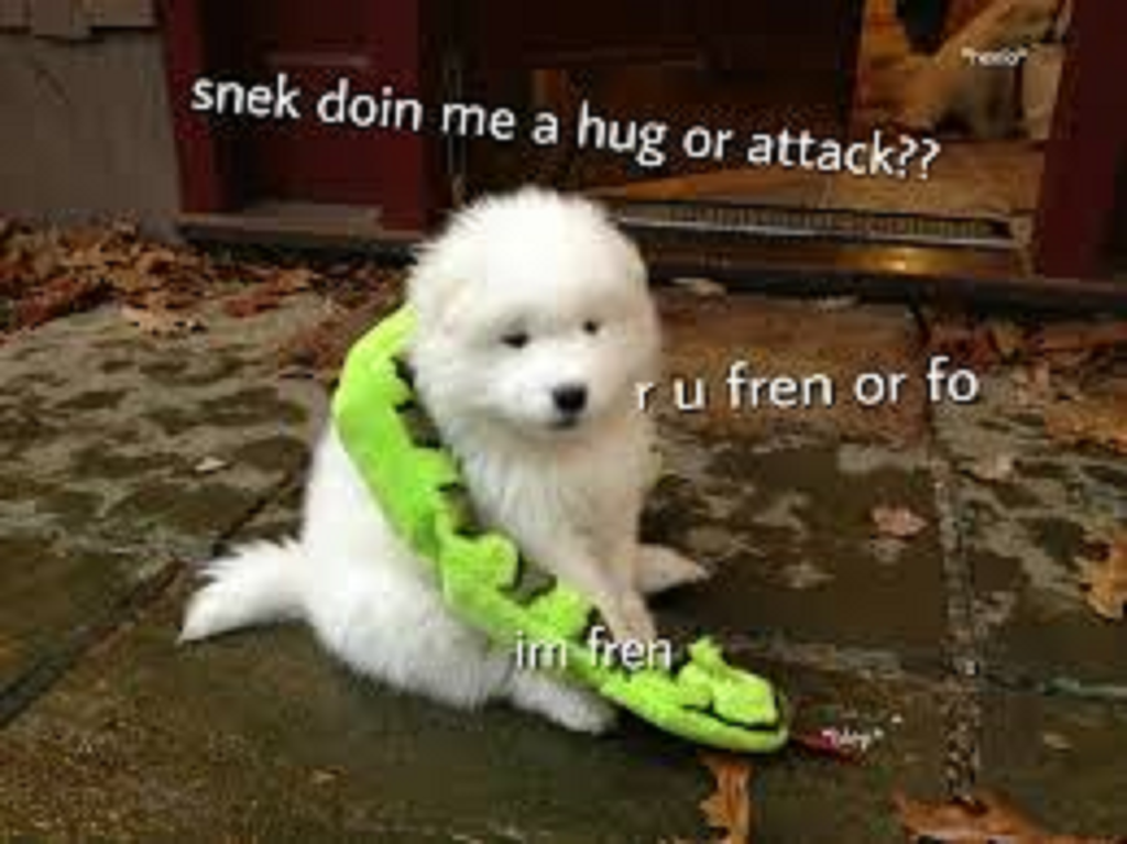 untitled.png
