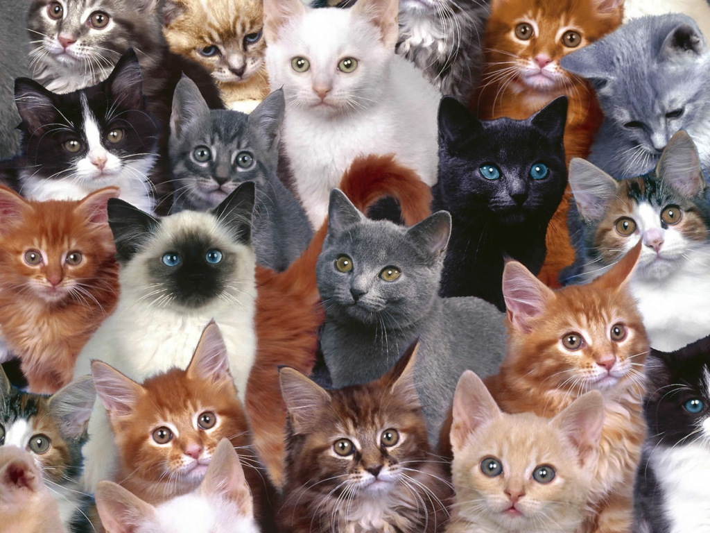 untitled.png