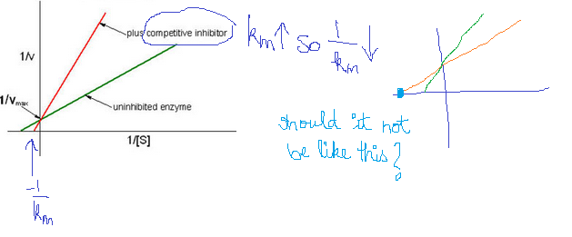 Competitive Inhibition Lineweaver Burk Equation
