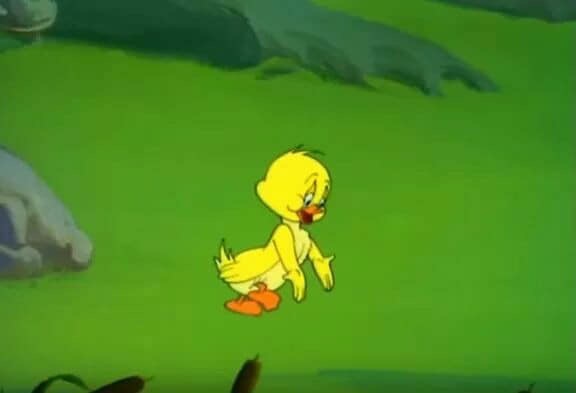 upload_2018-12-7_19-2-43.jpeg