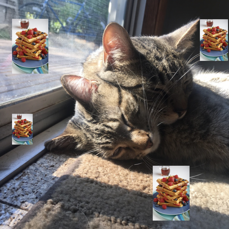 upload_2019-2-21_18-11-49.png