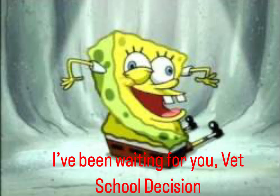 vet school.jpg