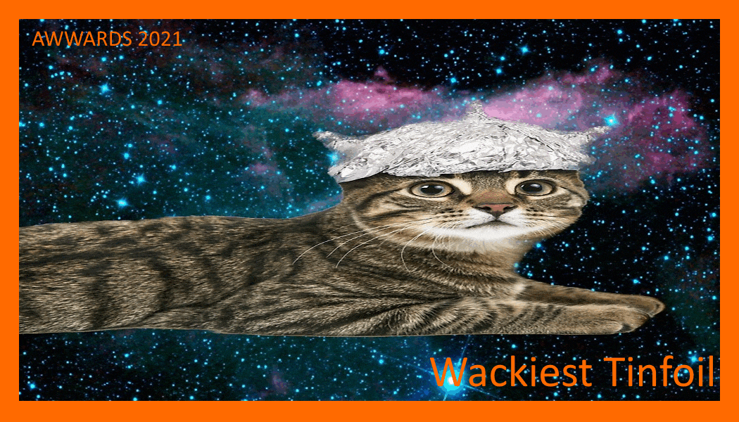 wackiest tinfoil.gif