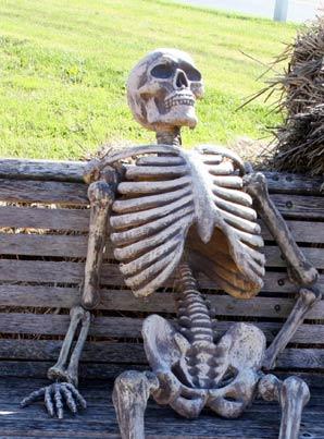waiting skeleton.jpg