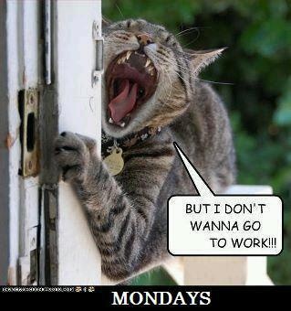 workcat.jpg